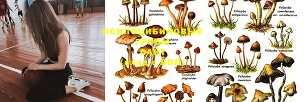 синтетический гашиш Абаза