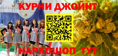 дмт Можга