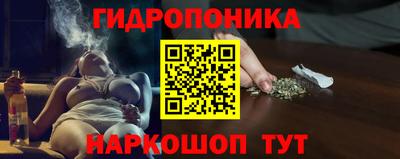 дмт Можга