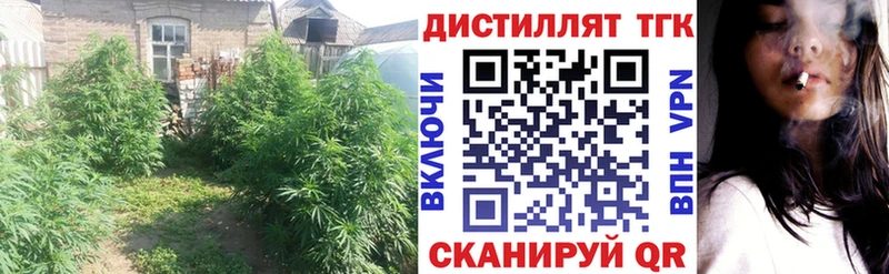 ТГК гашишное масло  сколько стоит  KRAKEN tor  Курск 