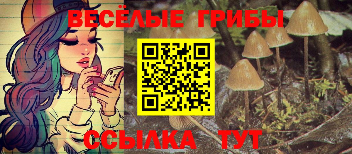 закладки  Галлюциногенные грибы Cubensis  Вход с VPN  Курск 