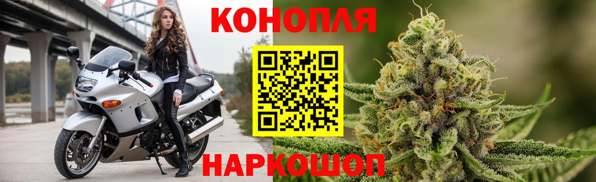 Марихуана гибрид  Конопля план  Курск  МАРИХУАНА индика  Вход с VPN 